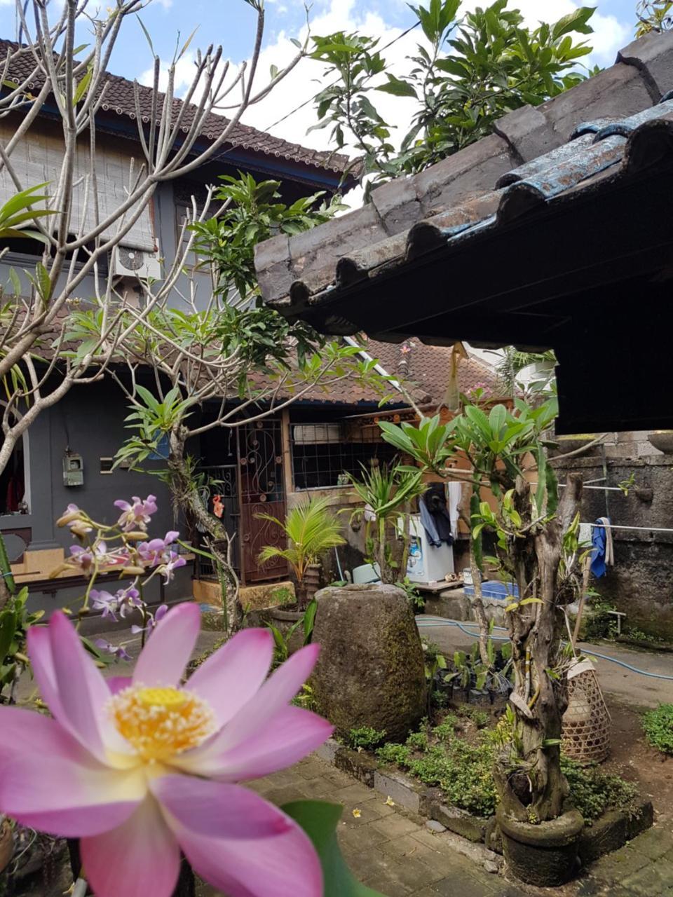 Mawar Homestay Canggu Экстерьер фото